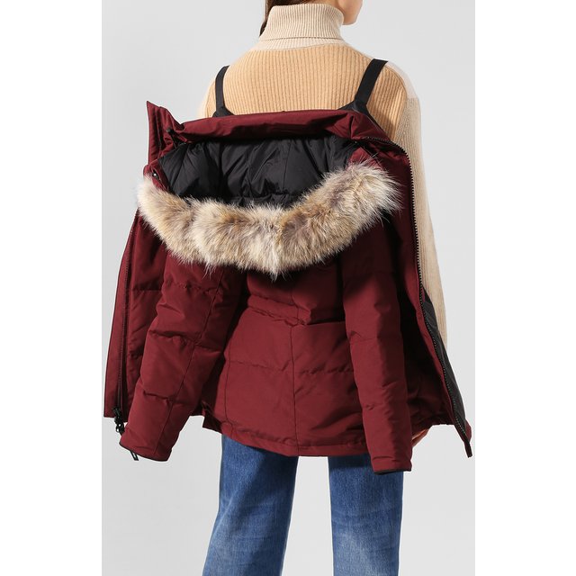 фото Парка chelsea canada goose