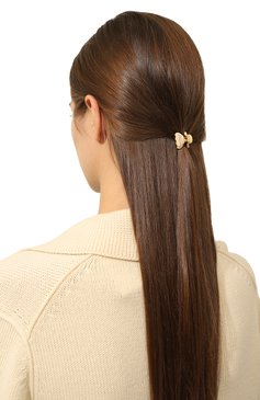 Женская набор из двух заколок для волос ALEXANDRE DE PARIS бежевого цвета, арт. ICCXS-14338-03A23 OS | Фото 2 (Материал: Пластик)
