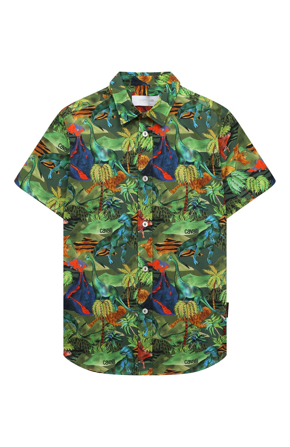Рубашки Roberto Cavalli, Хлопковая рубашка Roberto Cavalli, Италия, Зелёный, Хлопок: 100%;, 13379520  - купить