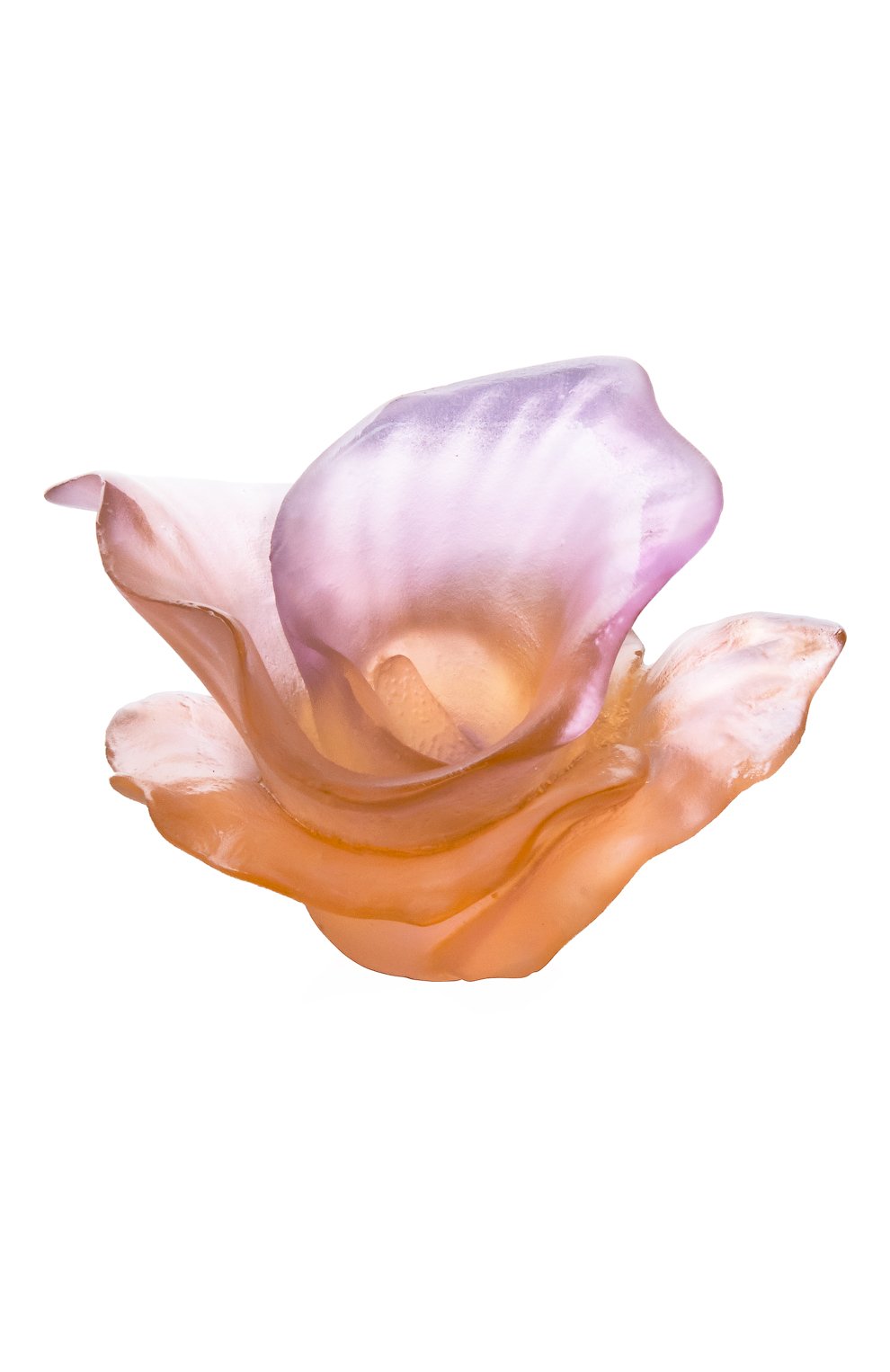 Цветок arum DAUM розового цвета, арт. 05651-1 | Фото 1 (Интерьер_коллекция: Arum; Региональные ограничения белый список (Axapta Mercury): Не проставлено; Нос: Не проставлено; Ограничения доставки: fragile-2)