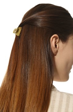 Женская заколка для волос ALEXANDRE DE PARIS хаки цвета, арт. ICCB-12831-02P22 K | Фото 2 (Материал: Пластик)