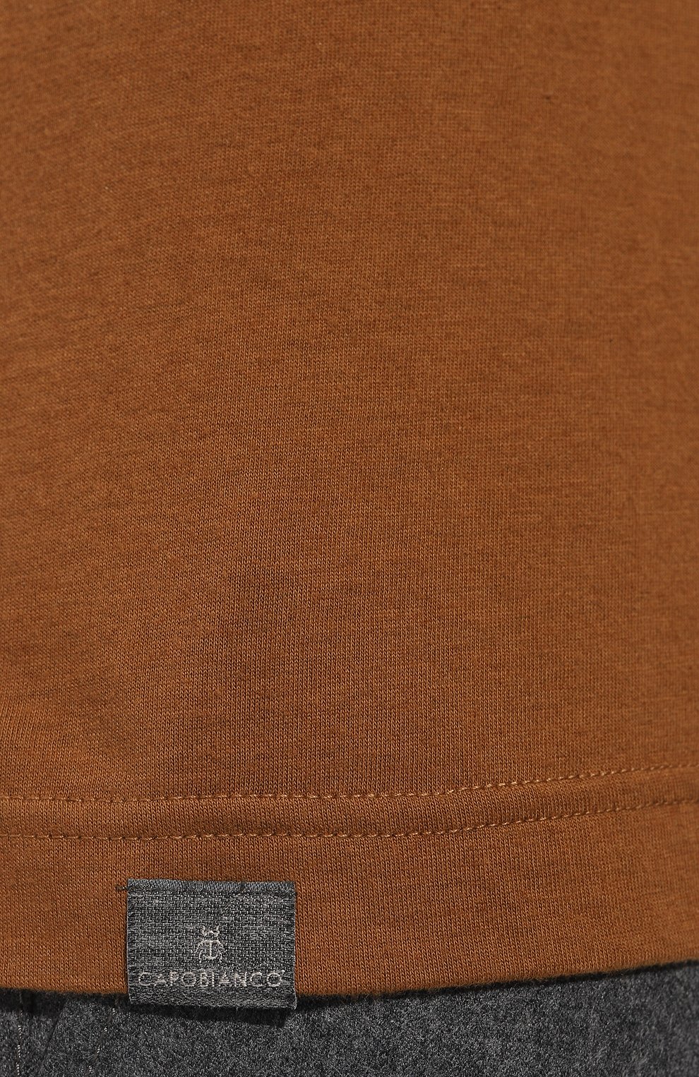 Мужская футболка из хлопка и кашемира CAPOBIANCO светло-коричневого цвета, арт. 15M660.WS00./58-60 | Фото 5 ( Принт: Без принта; Рукава: Короткие; Длина (для топов): Стандартные; Материал сплава: Проставлено; Материал внешний: Хлопок; Драгоценные камни: Проставлено; Стили: Кэжуэл)