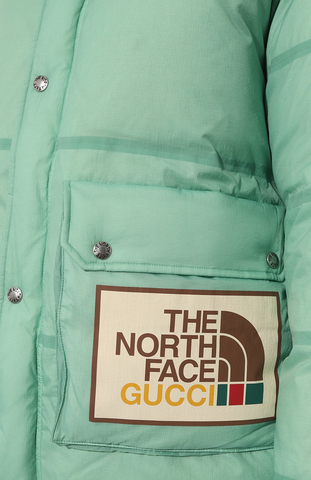 фото Пуховик the north face x gucci gucci