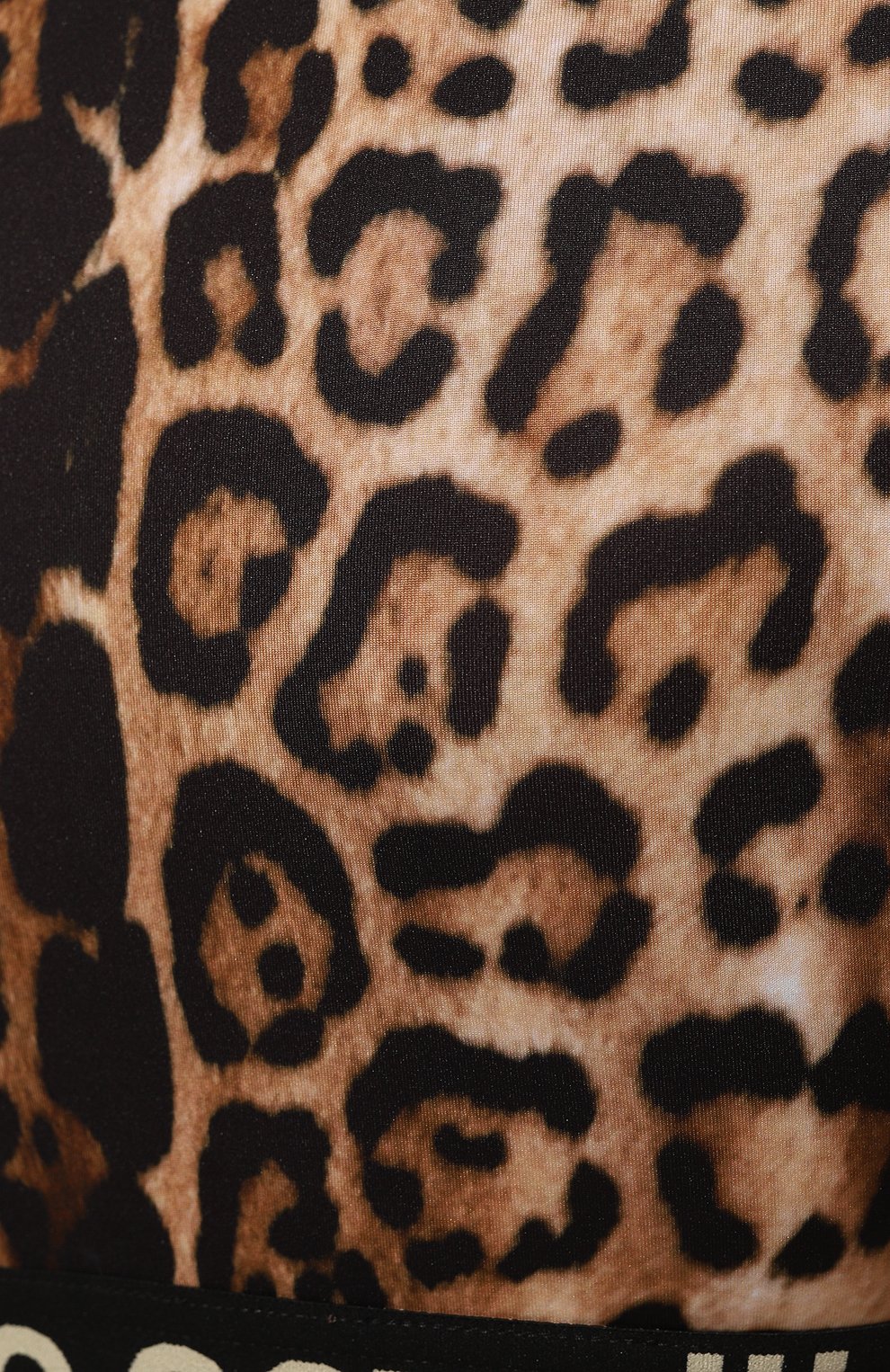 Женский топ ROBERTO CAVALLI леопардового цвета, арт. RKT65A/LNH26 | Фото 5 (Рукава: Длинные; Материал внешний: Синтетический материал; Материал сплава: Проставлено; Стили: Спорт-шик; Драгоценные камни: Проставлено; Длина (для топов): Укороченные)