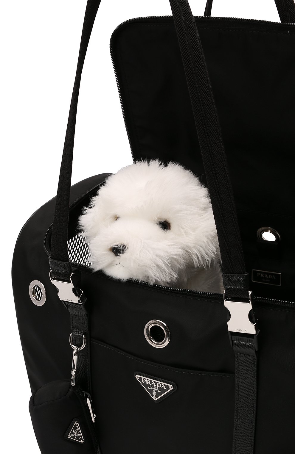Переноски, сумки и рюкзаки для собак