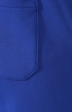 Мужские джоггеры POLO RALPH LAUREN синего цвета, арт. 710652314 | Фото 5 (Длина (брюки, джинсы): Стандартные; Кросс-КТ: Спорт; Материал внешний: Синтетический материал, Хлопок; Силуэт М (брюки): Джоггеры)