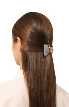Женская заколка для волос ALEXANDRE DE PARIS серого цвета, арт. ICC45-14339-02A23 OG | Фото 2 (Материал сплава: Проставлено; Нос: Не проставлено)