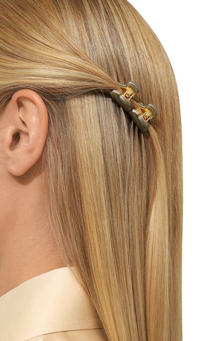 Женская набор из двух заколок для волос ALEXANDRE DE PARIS бронзового цвета, арт. ICCXS-14338-02 G5 | Фото 2