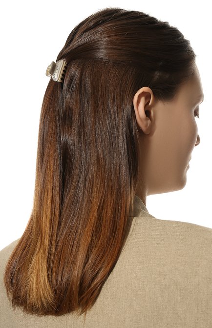 Женская заколка для волос ALEXANDRE DE PARIS серого цвета, арт. ICCB-12831-03 G5 | Фото 2 (Материал: Пластик)
