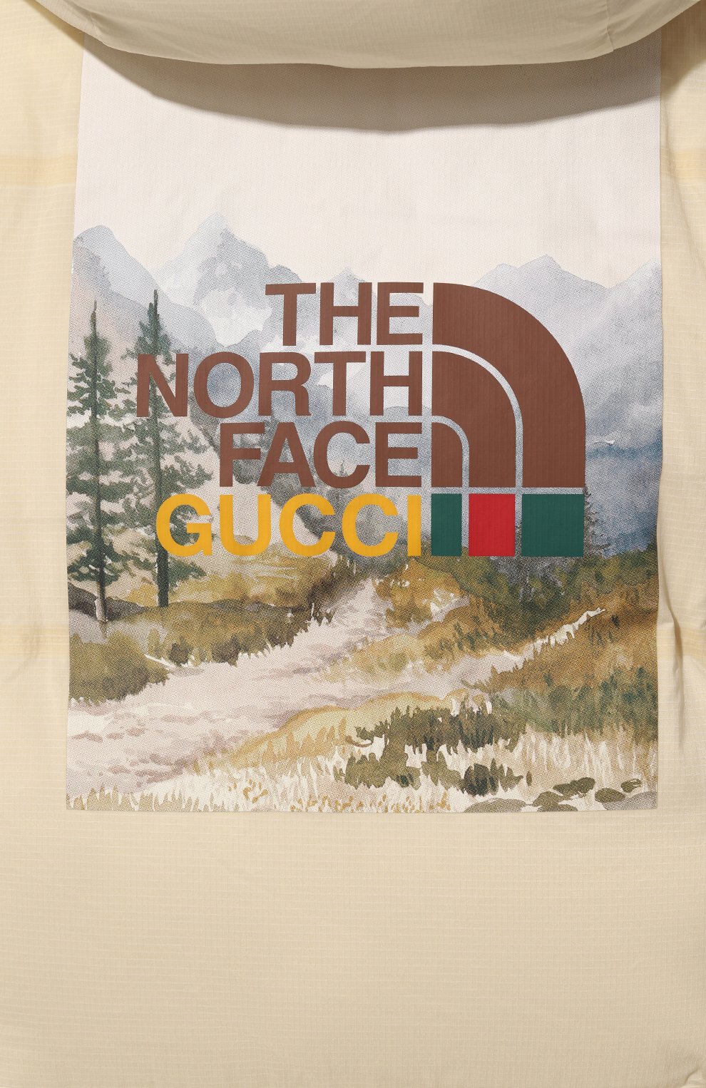 фото Пуховик the north face x gucci gucci