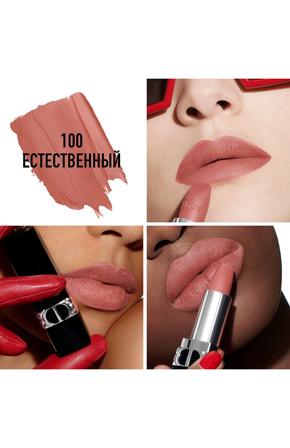 Rouge Dior Matte 100 DIOR